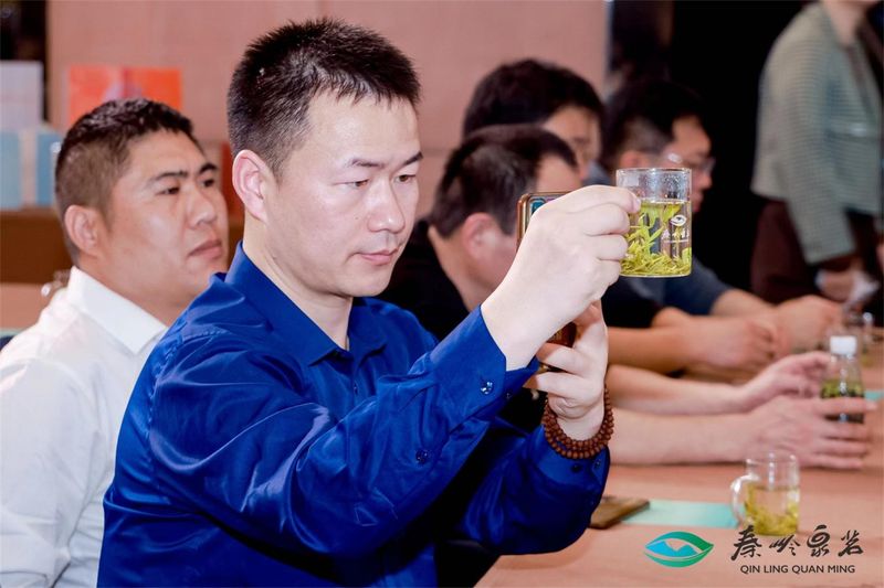 关于打造商洛茶叶区域公用品牌 2023第二届“秦岭泉茗”春茶节在西安启动的最新消息(14)