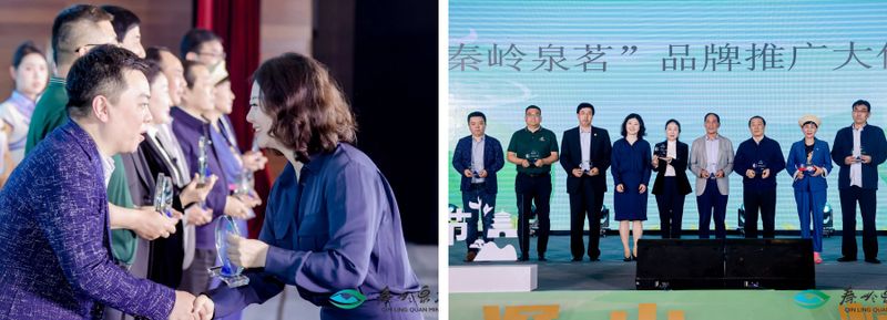 关于打造商洛茶叶区域公用品牌 2023第二届“秦岭泉茗”春茶节在西安启动的最新消息(7)