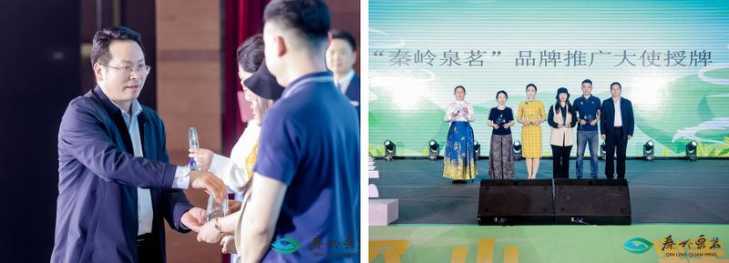 关于打造商洛茶叶区域公用品牌 2023第二届“秦岭泉茗”春茶节在西安启动的最新消息(9)