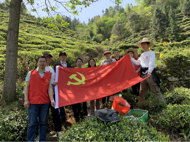 关于黄山市 结对共建促发展 为农采茶助增收的资讯