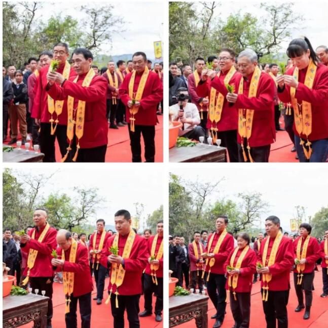 关于传承弘扬茶文化，武夷山开展“喊山祭茶”民俗文化活动的最新消息(10)