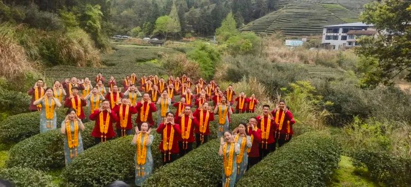 关于传承弘扬茶文化，武夷山开展“喊山祭茶”民俗文化活动的最新消息(12)