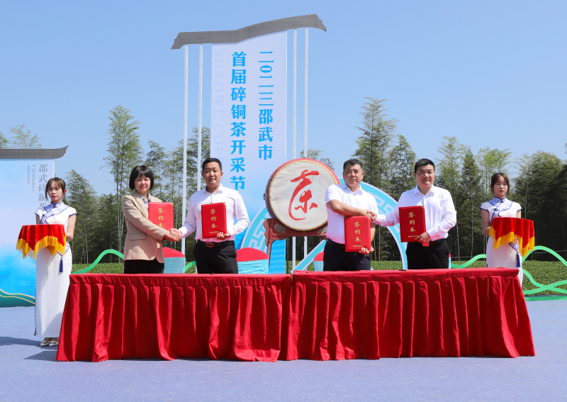 关于邵武市举行首届“碎铜茶”开采节的内容(1)
