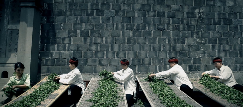 有关于沉浸式体验茶乡之春！又一春茶盛会即将启幕的新闻