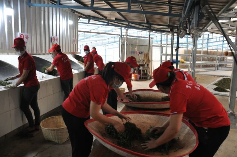 有关于茂兰镇旧村:茶企挂联茶农助推茶产业高质量发展的最新消息(2)