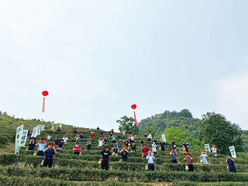 有关于海堤的相关内容