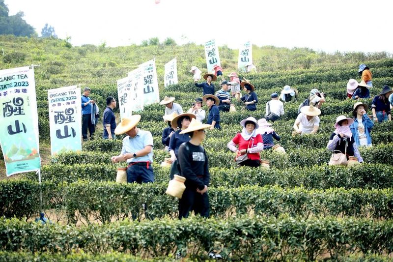 有关于海堤的相关内容(1)