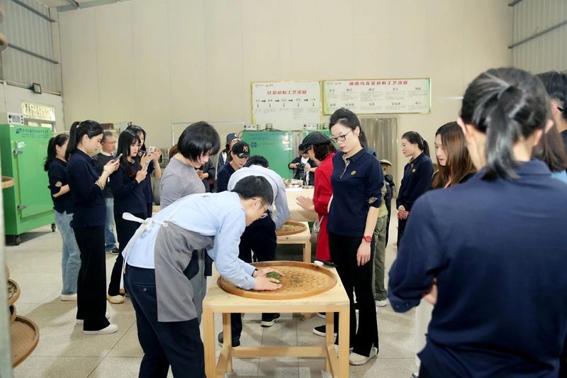 有关于海堤的相关内容(2)