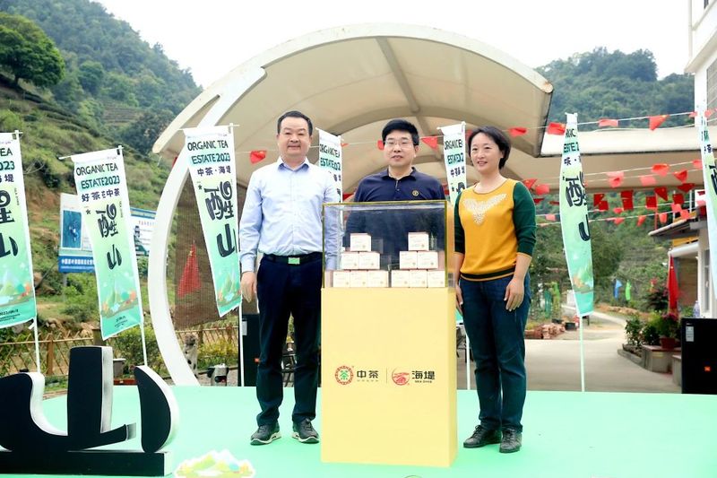 有关于海堤的相关内容(5)