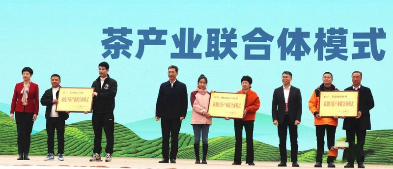 有关于第十二届福鼎白茶开茶节,今天开茶咯!的最新消息(2)