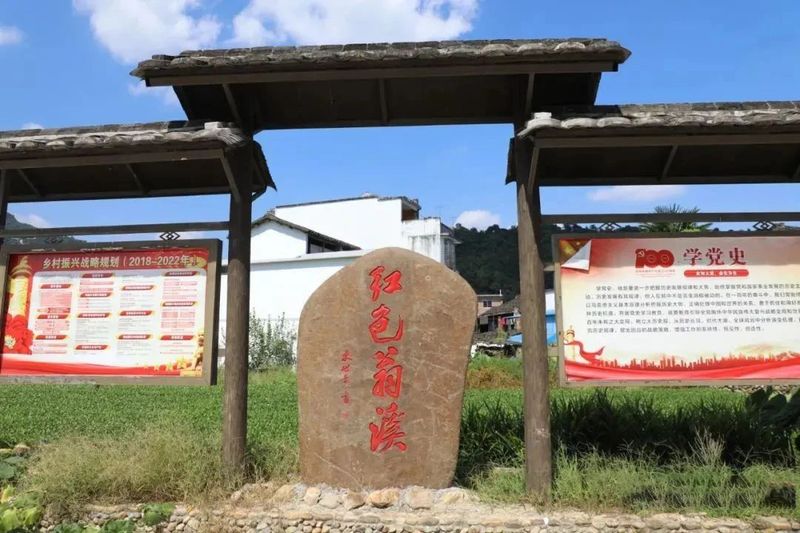 有关于翁溪村：一片叶子“撬动”乡村振兴的新闻(5)