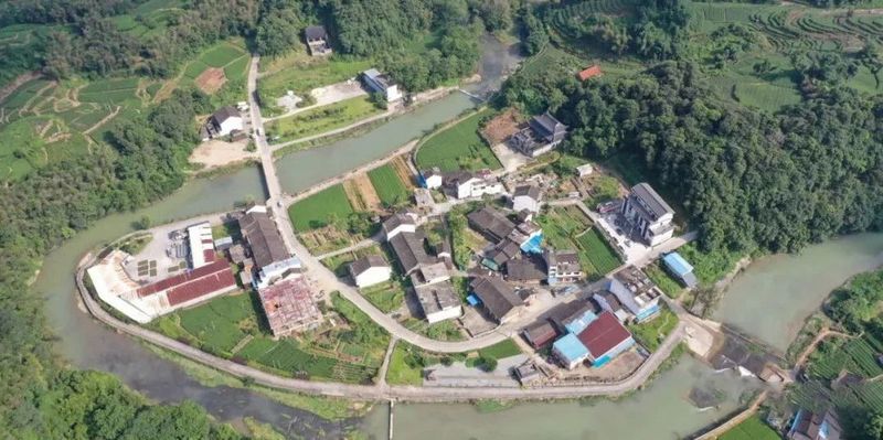 有关于翁溪村：一片叶子“撬动”乡村振兴的新闻(4)