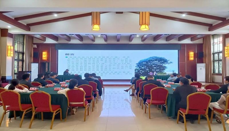 有关于学茶入门：质量提升赋能产业发展的相关信息(1)