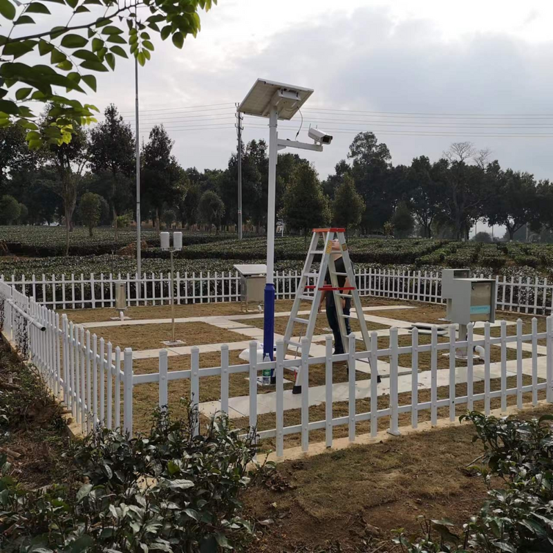 关于英德红茶再添“金名片”的内容(4)