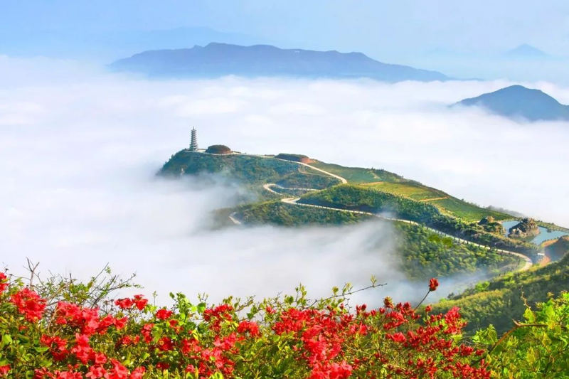 关于“共富羊岩 茶香50载”临海羊岩茶文化节的相关内容(1)