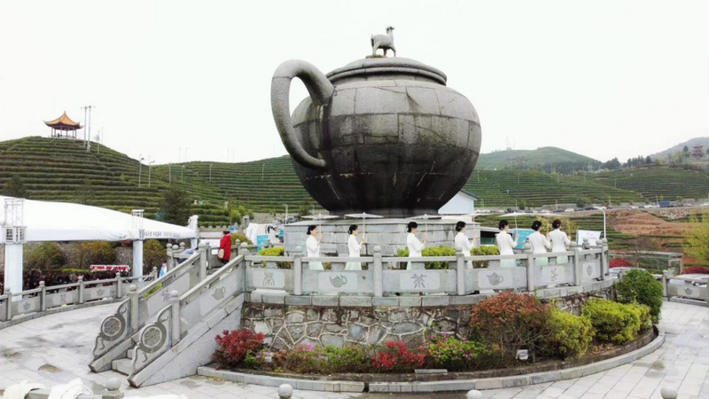 关于“共富羊岩 茶香50载”临海羊岩茶文化节的相关内容(3)