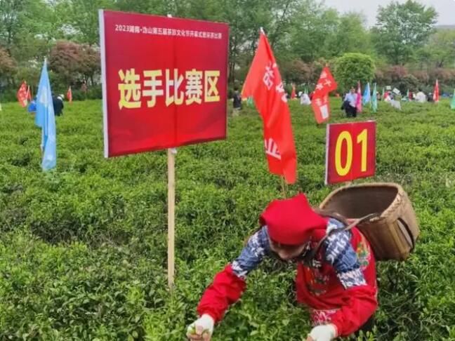 有关于湖南“茶乡”以盛会促茶旅融合发展的相关内容