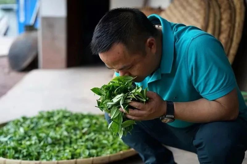 有关于一任天真的内容(2)