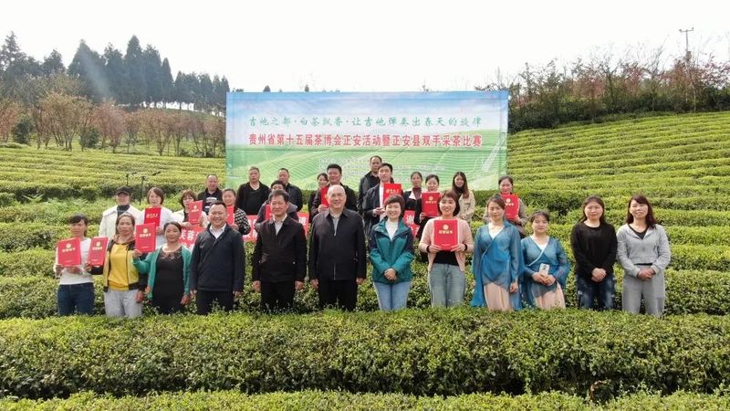 有关于正安县：双手采茶，“金手指”绽放出茶韵芬芳的最新消息(4)