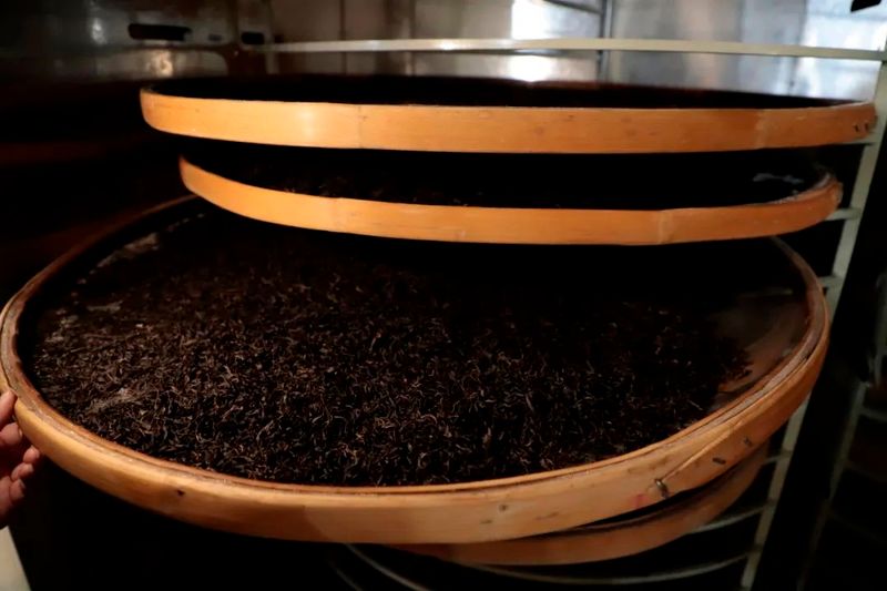 关于金沙县茶山春光无限好 茶农采茶增收忙的内容(3)