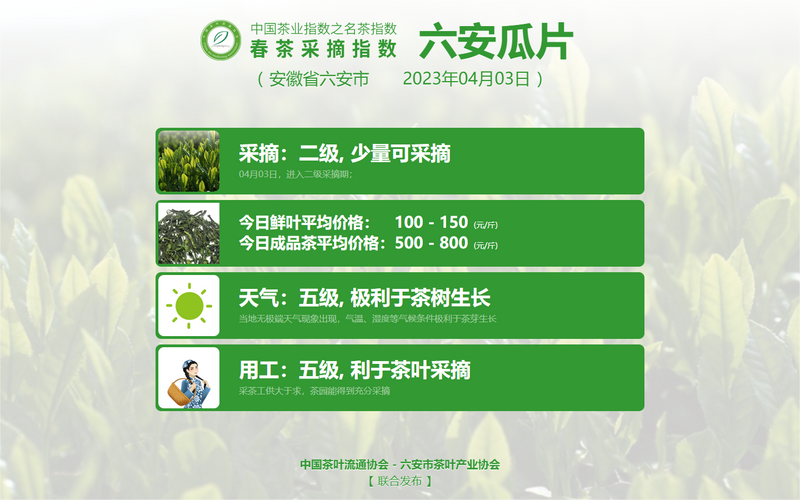 关于2023春茶季:六安瓜片少量开采,安溪铁观音加入播报的信息(11)