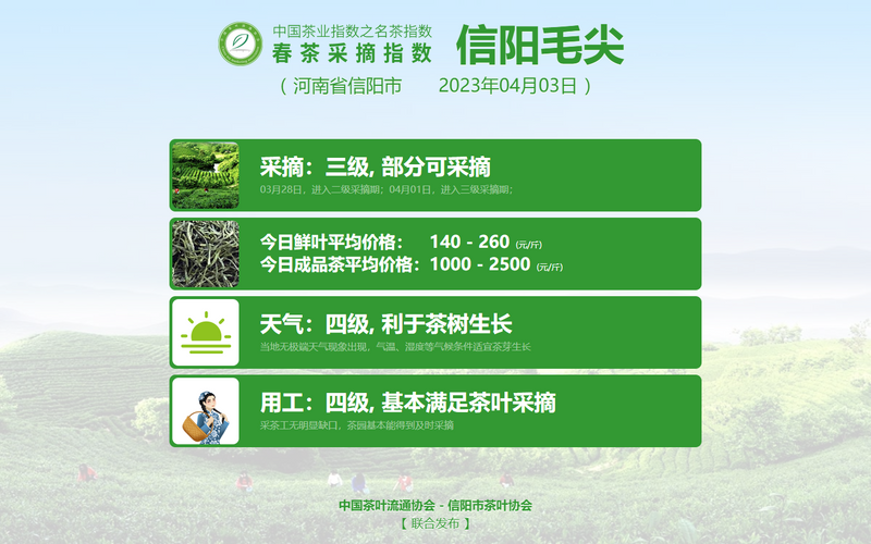 关于2023春茶季:六安瓜片少量开采,安溪铁观音加入播报的信息(10)