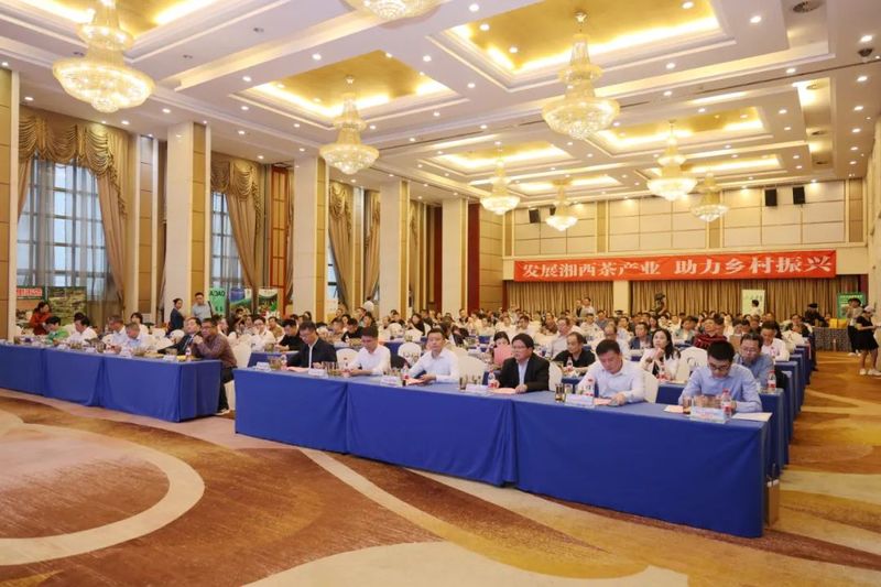 关于2023湘西春茶长沙推介会圆满举办！的相关信息