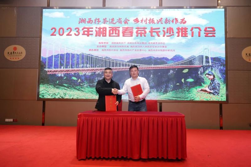 关于2023湘西春茶长沙推介会圆满举办！的相关信息(12)