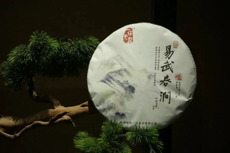 有关于一任天真的最新消息(2)