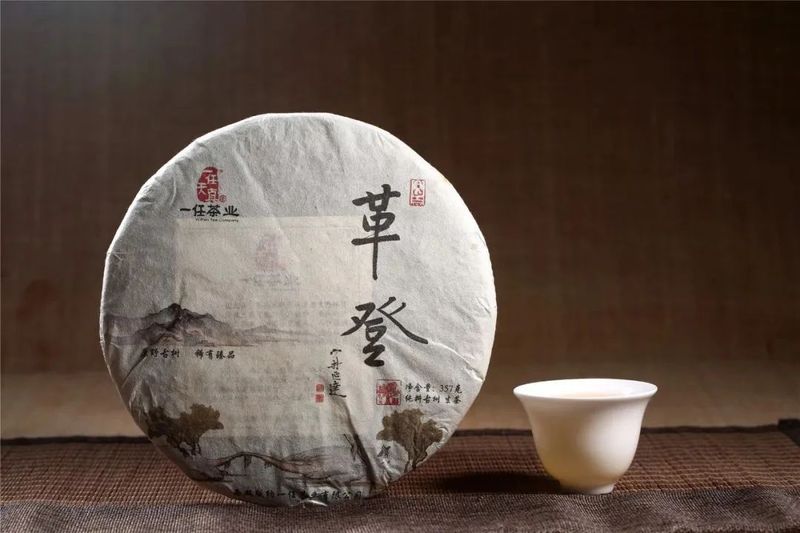 有关于一任天真的最新消息(7)