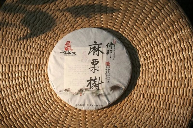 有关于一任天真的最新消息(5)