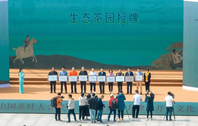 关于全链提升 价值再造 新昌县茶产业链总产值近百亿元的信息(3)