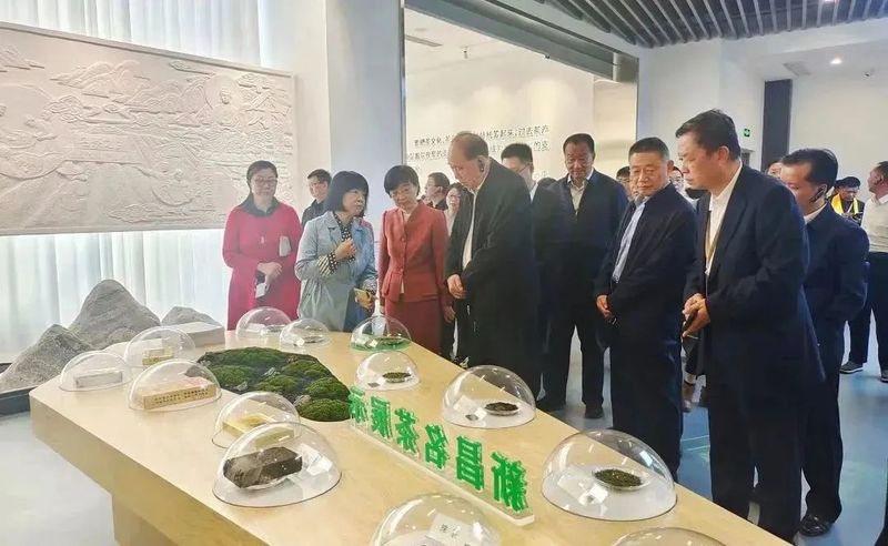 关于全链提升 价值再造 新昌县茶产业链总产值近百亿元的信息(7)