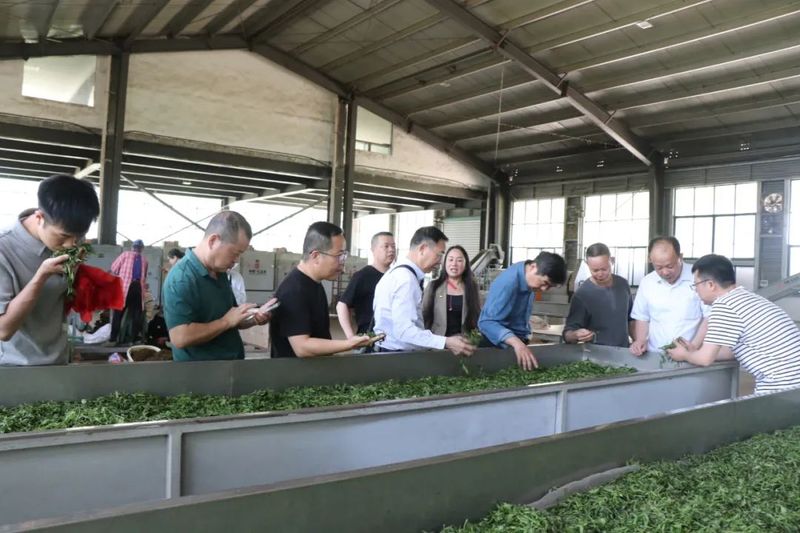 关于厦门市供应链茶企到浮梁县考察的相关信息