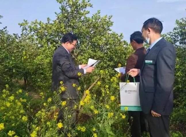 关于农行信阳分行：赋能老区茶产业发展的资讯(1)