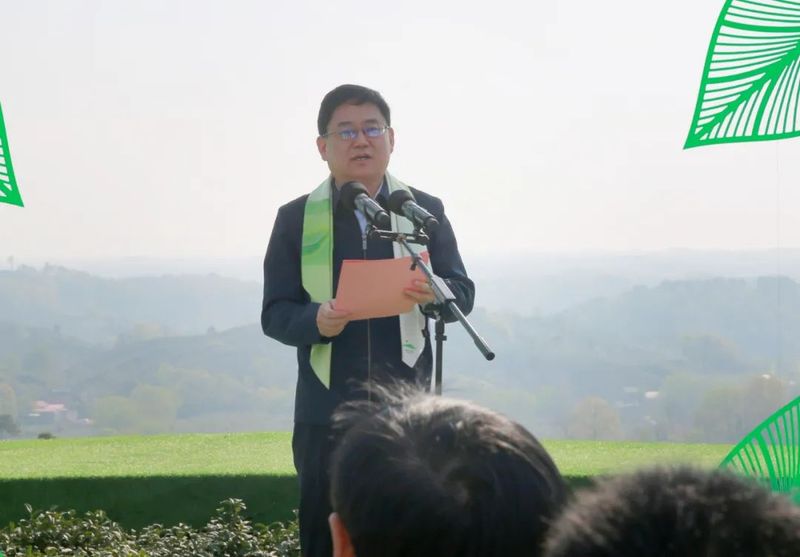 关于信阳毛尖茶开采式在文新茶村举行的消息(1)