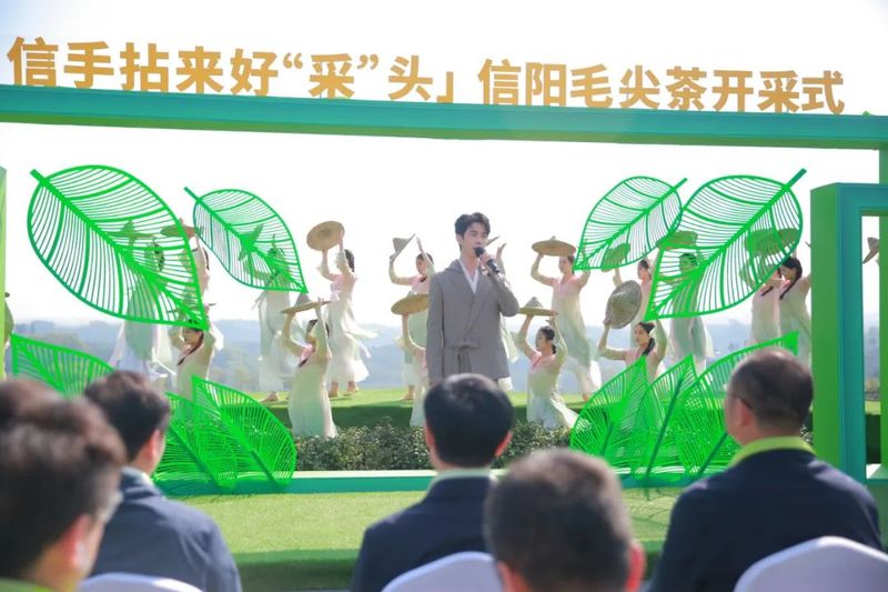 关于信阳毛尖茶开采式在文新茶村举行的消息(6)