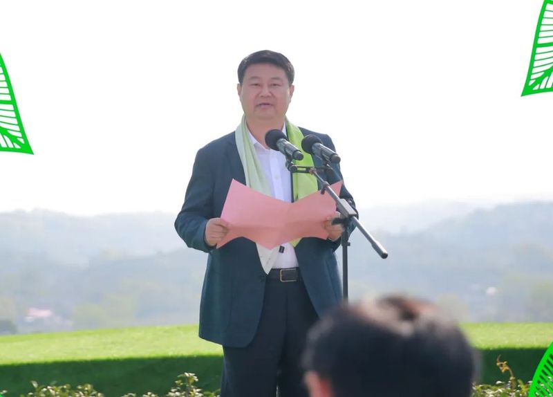 关于信阳毛尖茶开采式在文新茶村举行的消息(2)