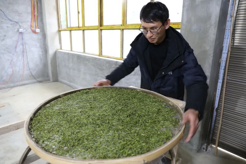 关于古达乡:发展茶叶产业 助力乡村振兴的新闻(1)