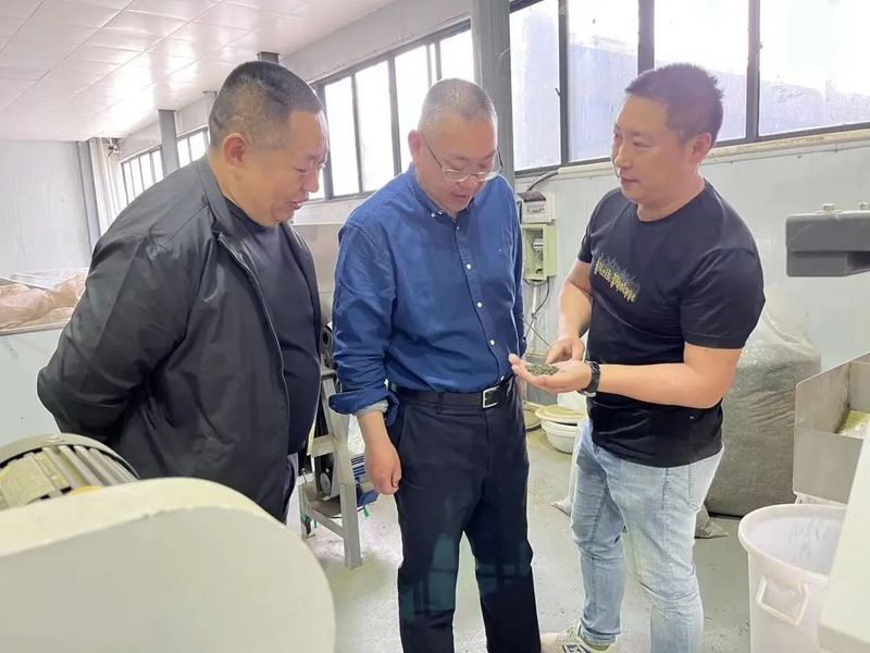 关于俞丽威带队开展莲都区茶叶产业发展情况专题调研的资讯(2)