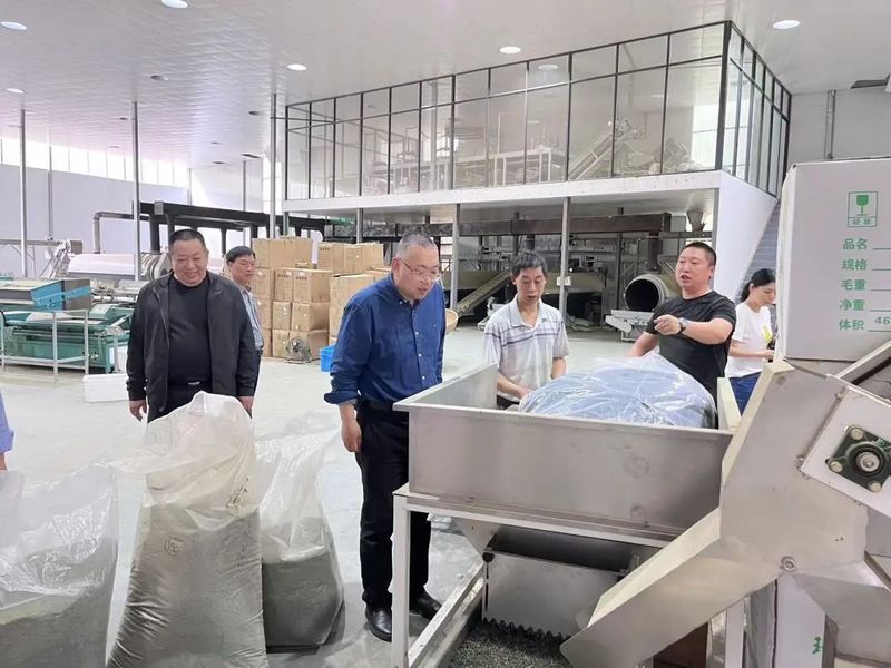 关于俞丽威带队开展莲都区茶叶产业发展情况专题调研的资讯(3)