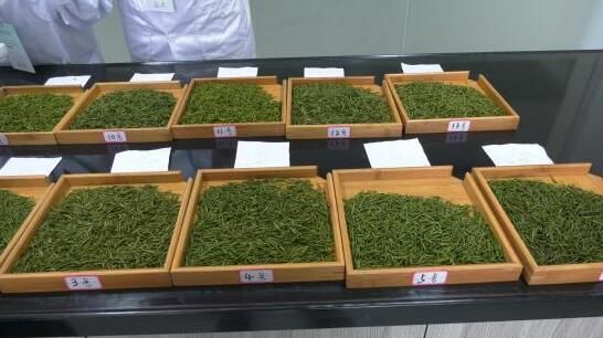 关于江西资溪：茶王争霸 巅峰之战的内容(1)