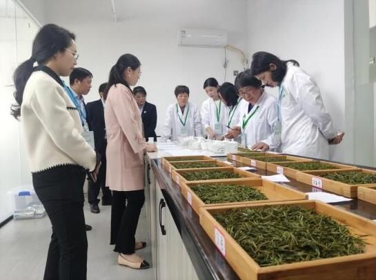 关于江西资溪：茶王争霸 巅峰之战的内容(2)