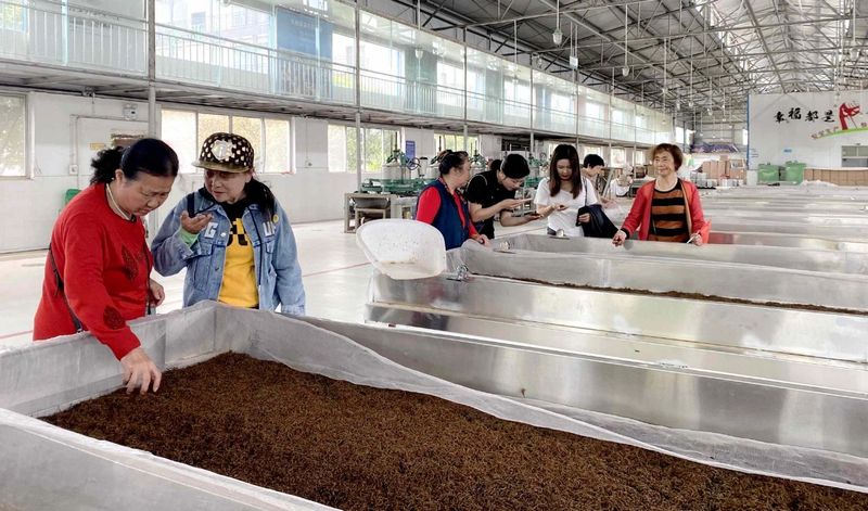 有关于“休闲湄潭·寻茶问道”游茶园览茶山首发仪式举行的新闻(3)