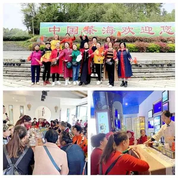 有关于“休闲湄潭·寻茶问道”游茶园览茶山首发仪式举行的新闻(4)