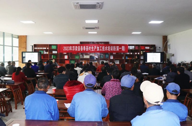 有关于浮梁茶人汇聚一堂：课堂学知识 茶园练技术的最新消息