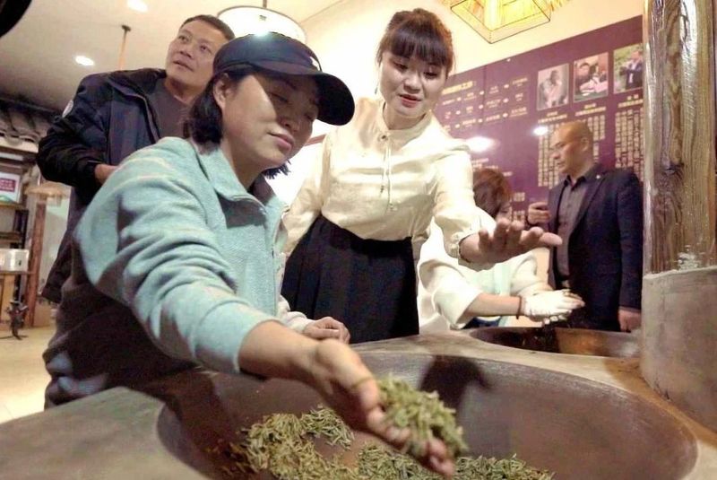 关于春天的约会， 贵州著名音乐人相约湄潭试新茶的信息(3)