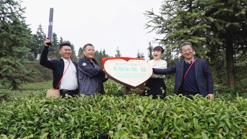 关于春天的约会， 贵州著名音乐人相约湄潭试新茶的信息