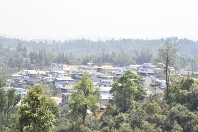 关于2023年老班章古树春茶15000-20000元的最新消息(1)