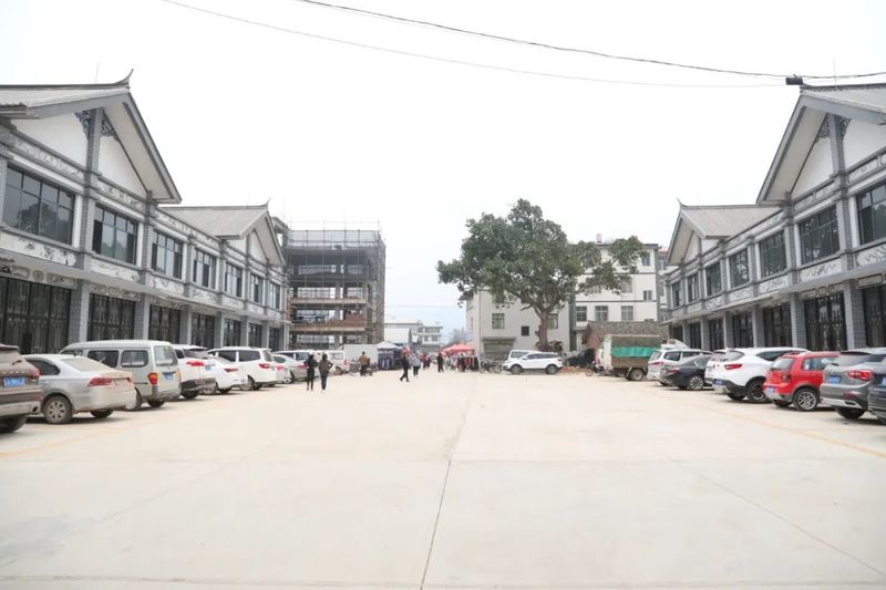 有关于何国华到民乐镇调研茶产业发展的新闻(3)